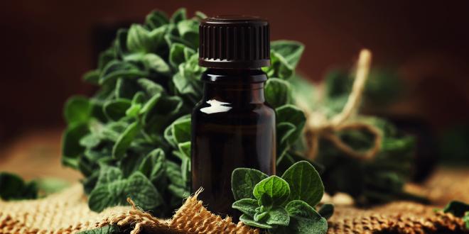 a bottle of oregano oil extract surrounded by the fresh herb