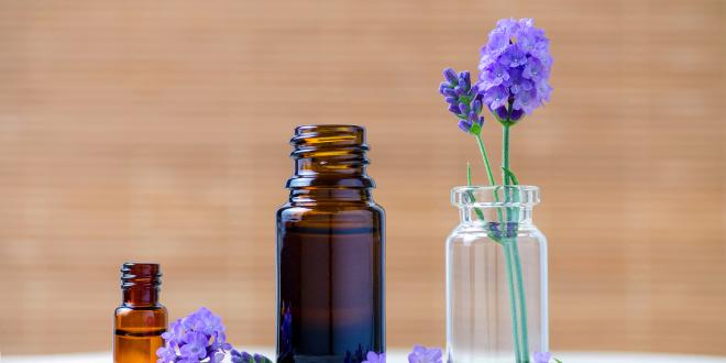 Lavender essential oil bottles and fresh flowers for aromatherapy.