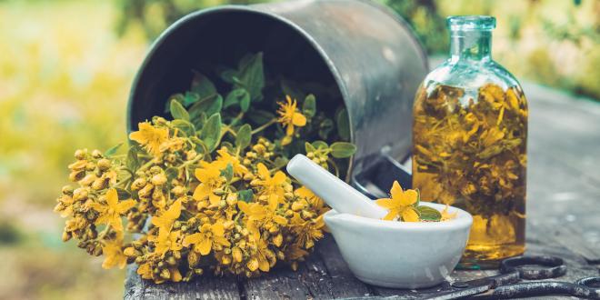 St. John's Wort in a bucket next to a bottle of tincture and a mortar and pestle..